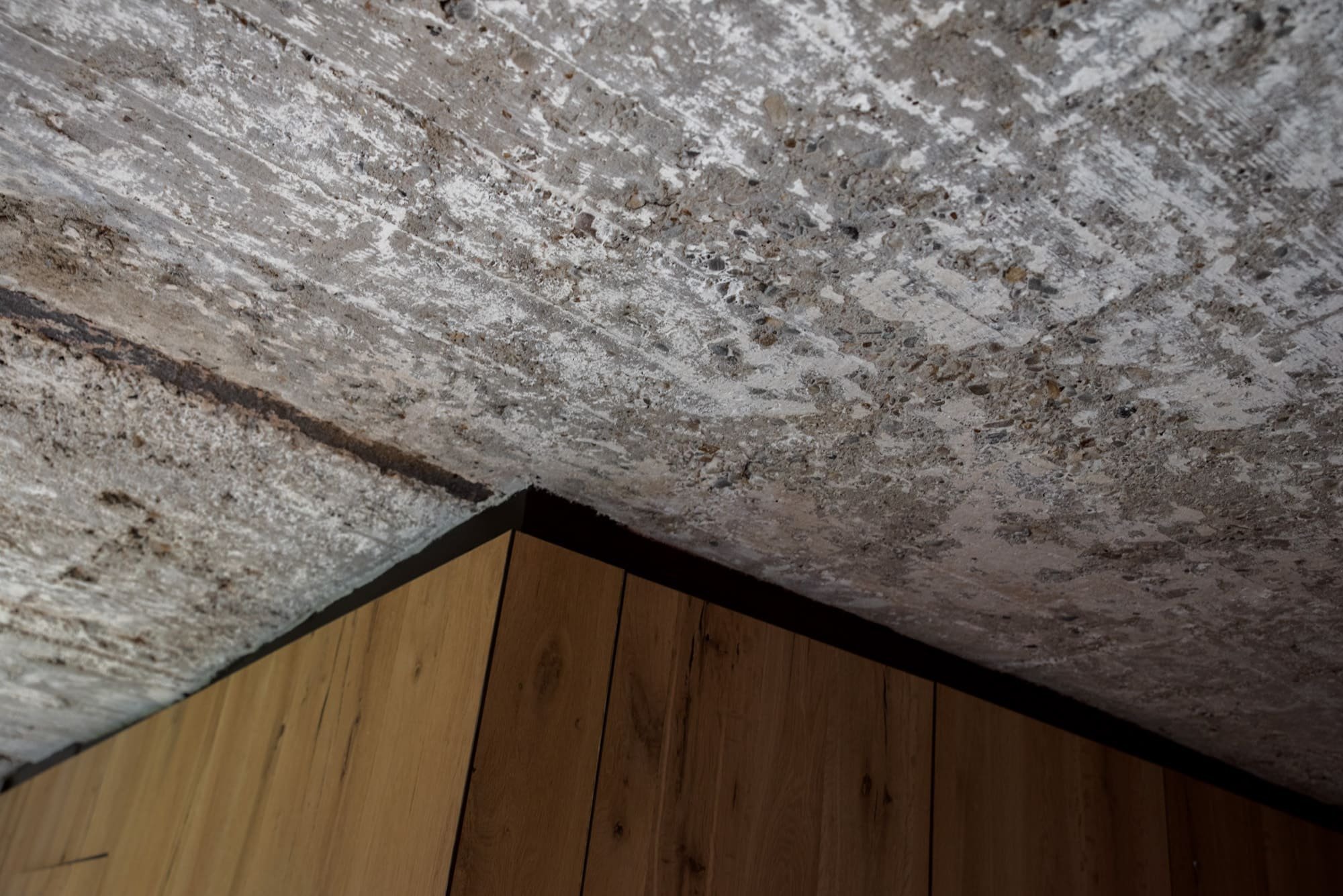 Za projektem slezského domu je zajímavý příběh