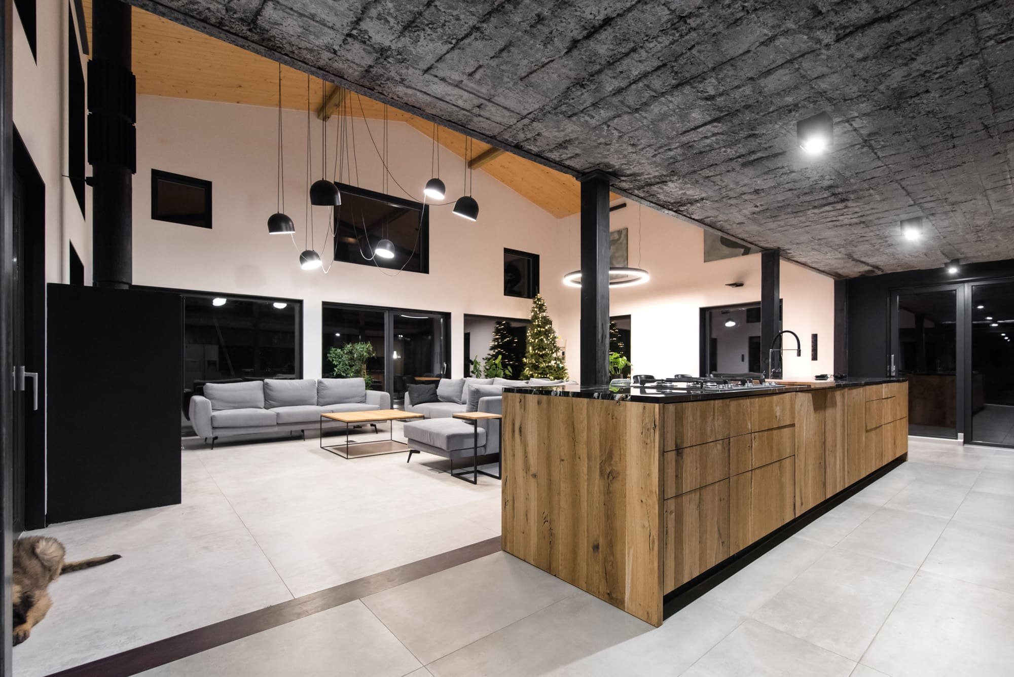 Za projektem slezského domu je zajímavý příběh