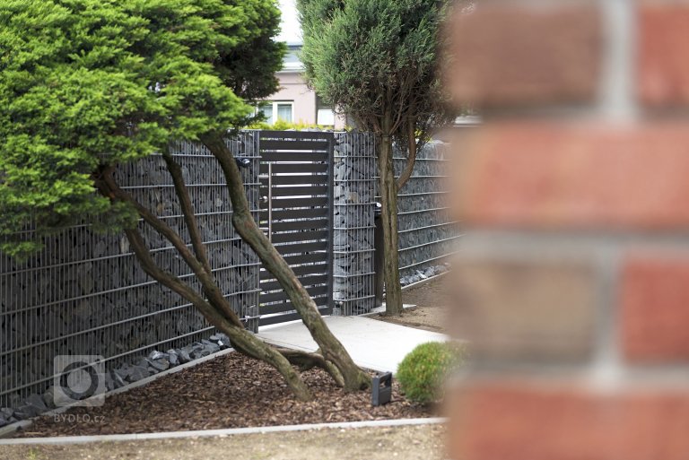 add picture to album