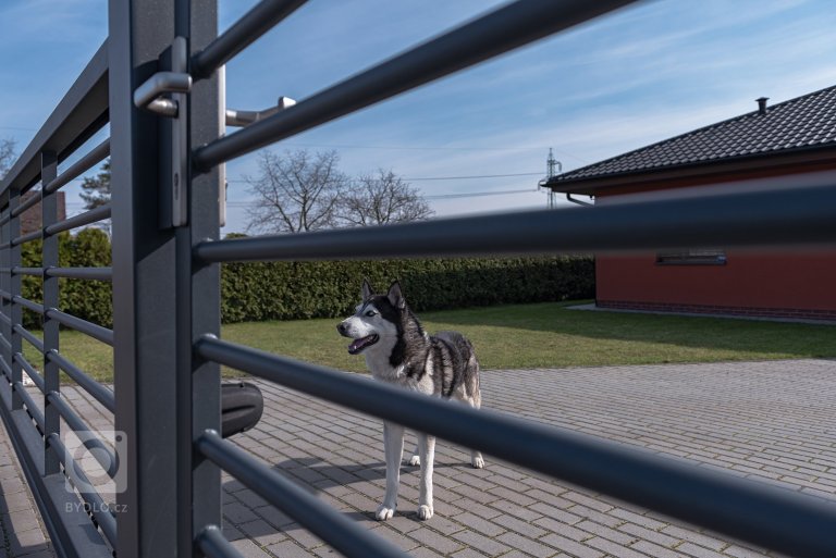 add picture to album