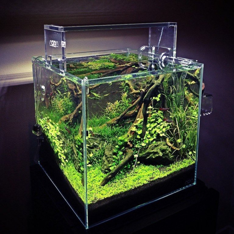 Nano akvárium, designový doplněk do vašeho bytu