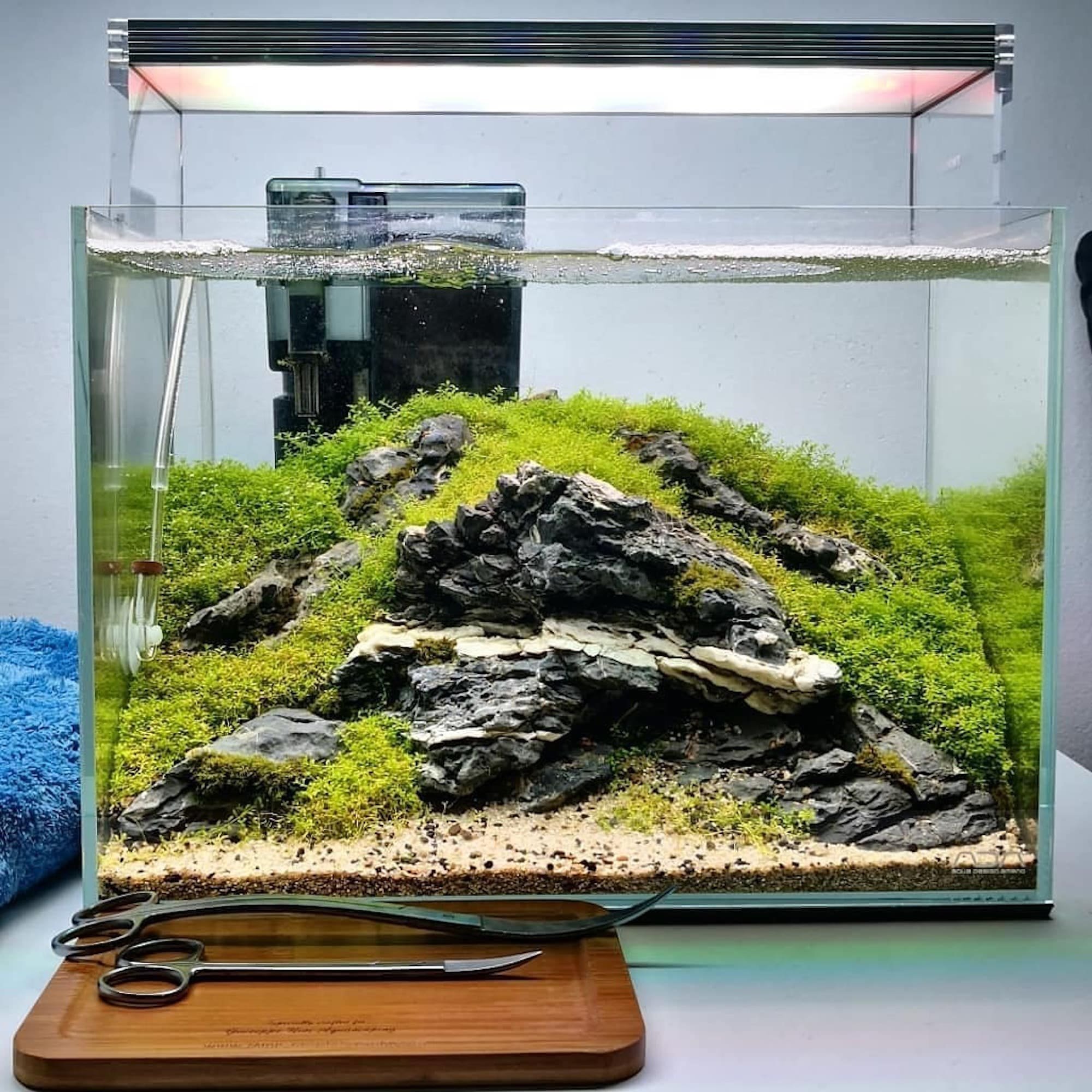 Nano akvárium, designový doplněk do vašeho bytu