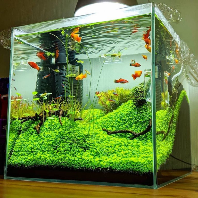 Nano akvárium, designový doplněk do vašeho bytu