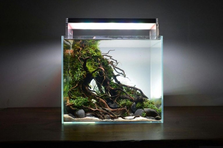 Nano akvárium, designový doplněk do vašeho bytu