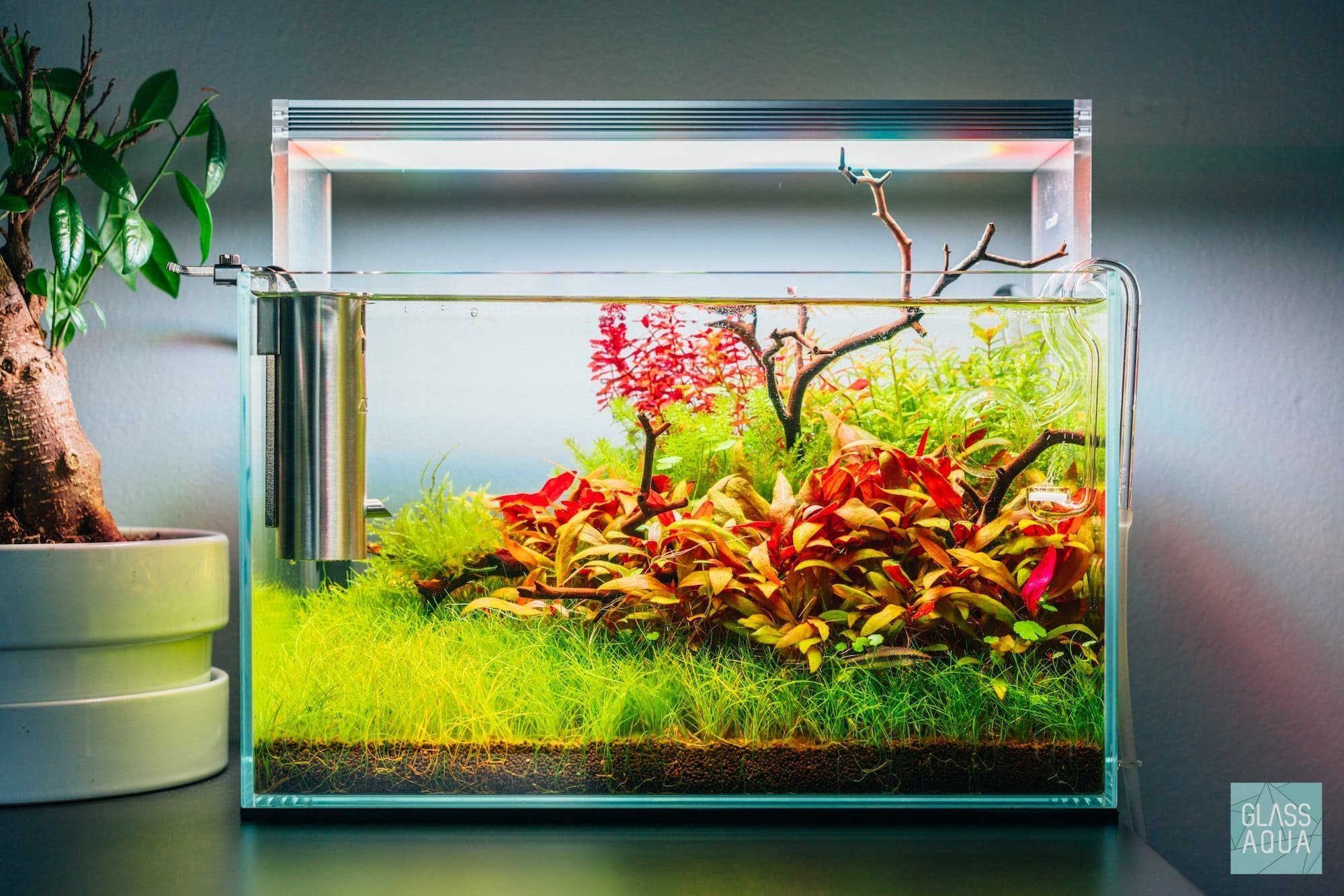 Nano akvárium, designový doplněk do vašeho bytu