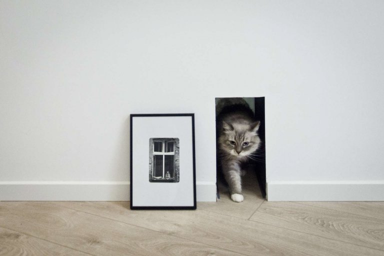 Rekonstrukce chátrajícího podkroví