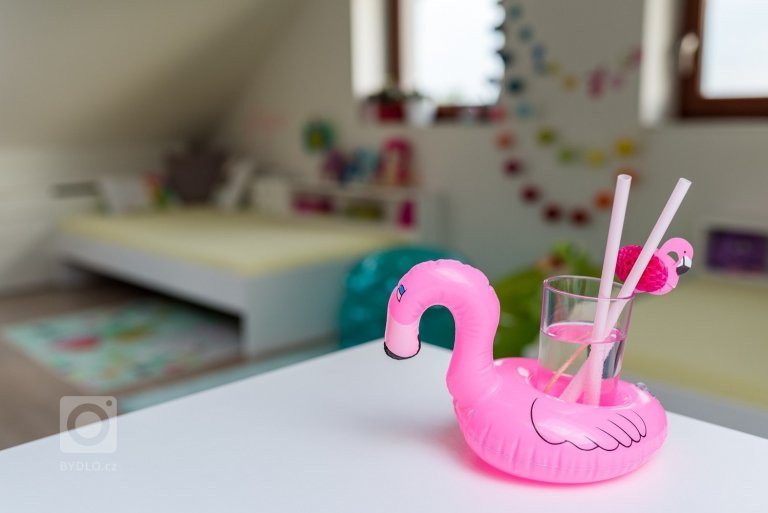 Prostorný slunný pokojíček je orientován na jih a je určen pro dvě holky &ndash; dvojčata.&nbsp; Podkroví nabízí dostatek místa pro hry i úložné prostory.…