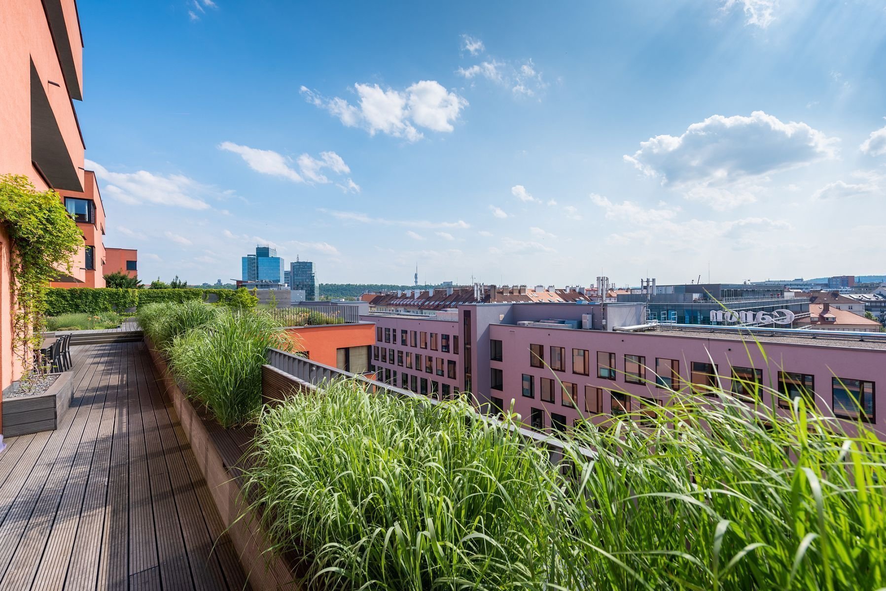 Bydlení se zahradou na střeše