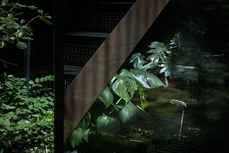 Dům, kde se ocel mísí se zelení