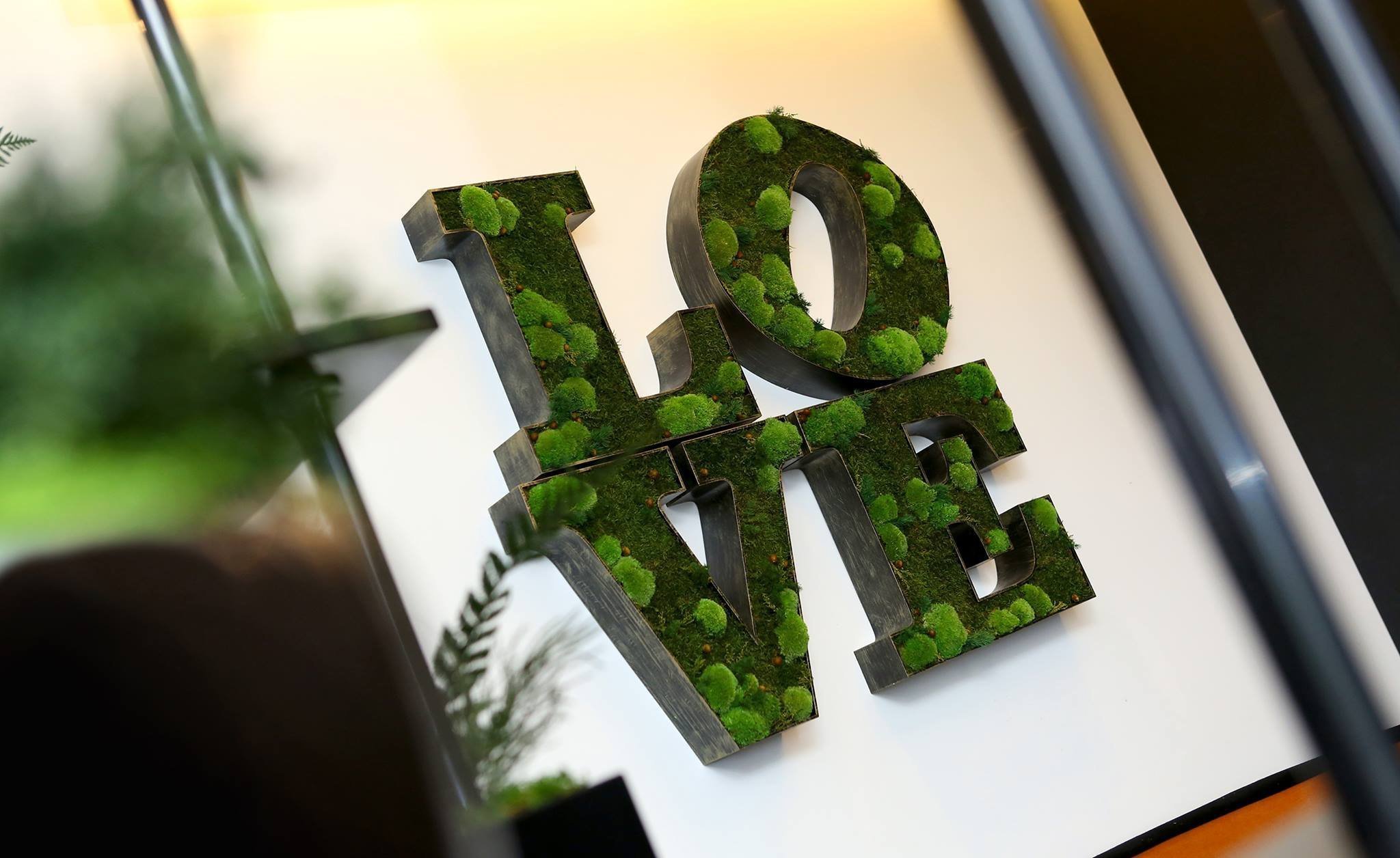 Obrazy z mumifikovaného mechu jsou výjimečný interiérový prvek