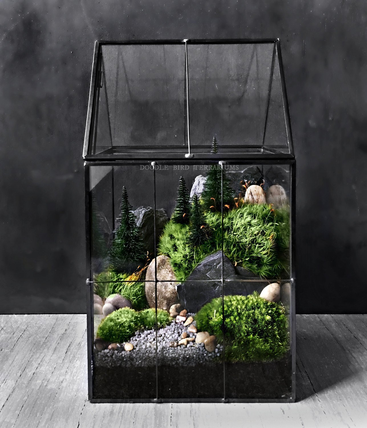 Přineste si kousek přírody domů