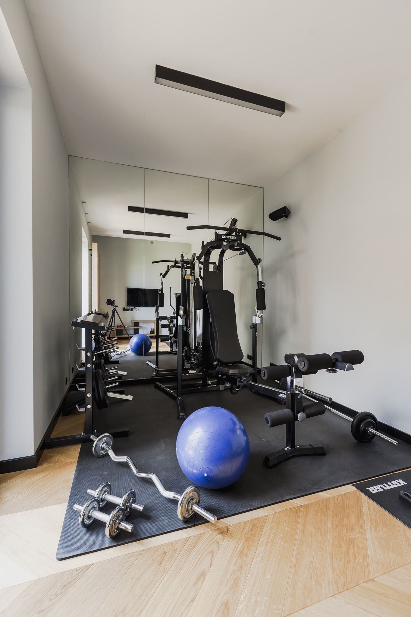 Sen o moderním bydlení v bažinaté krajině