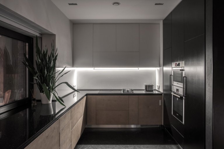 Venkovský dům - Forest House