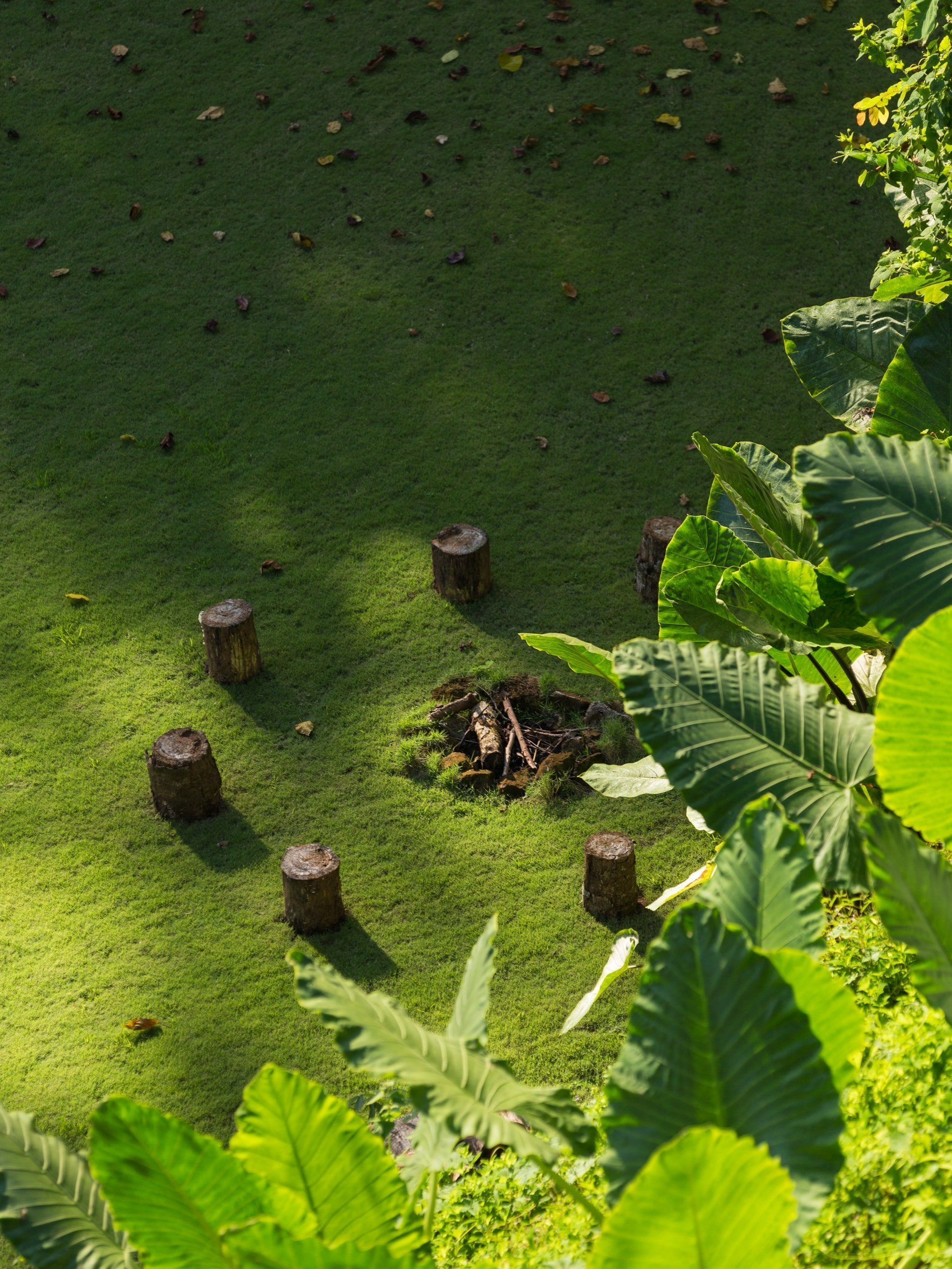 Vila postavená v balijské pobřežní džungli