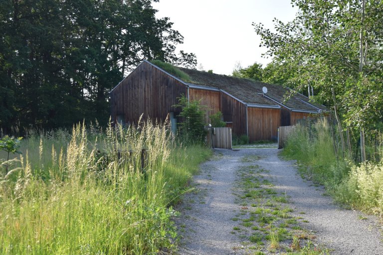 Pozveme vás do zahrady, která je nám velmi blízká. Nachází se na okraji dubového lesa a její atmosféra připomíná severskou náladu a dnes tolik skloňované…
