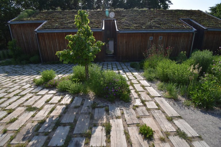 Pozveme vás do zahrady, která je nám velmi blízká. Nachází se na okraji dubového lesa a její atmosféra připomíná severskou náladu a dnes tolik skloňované…