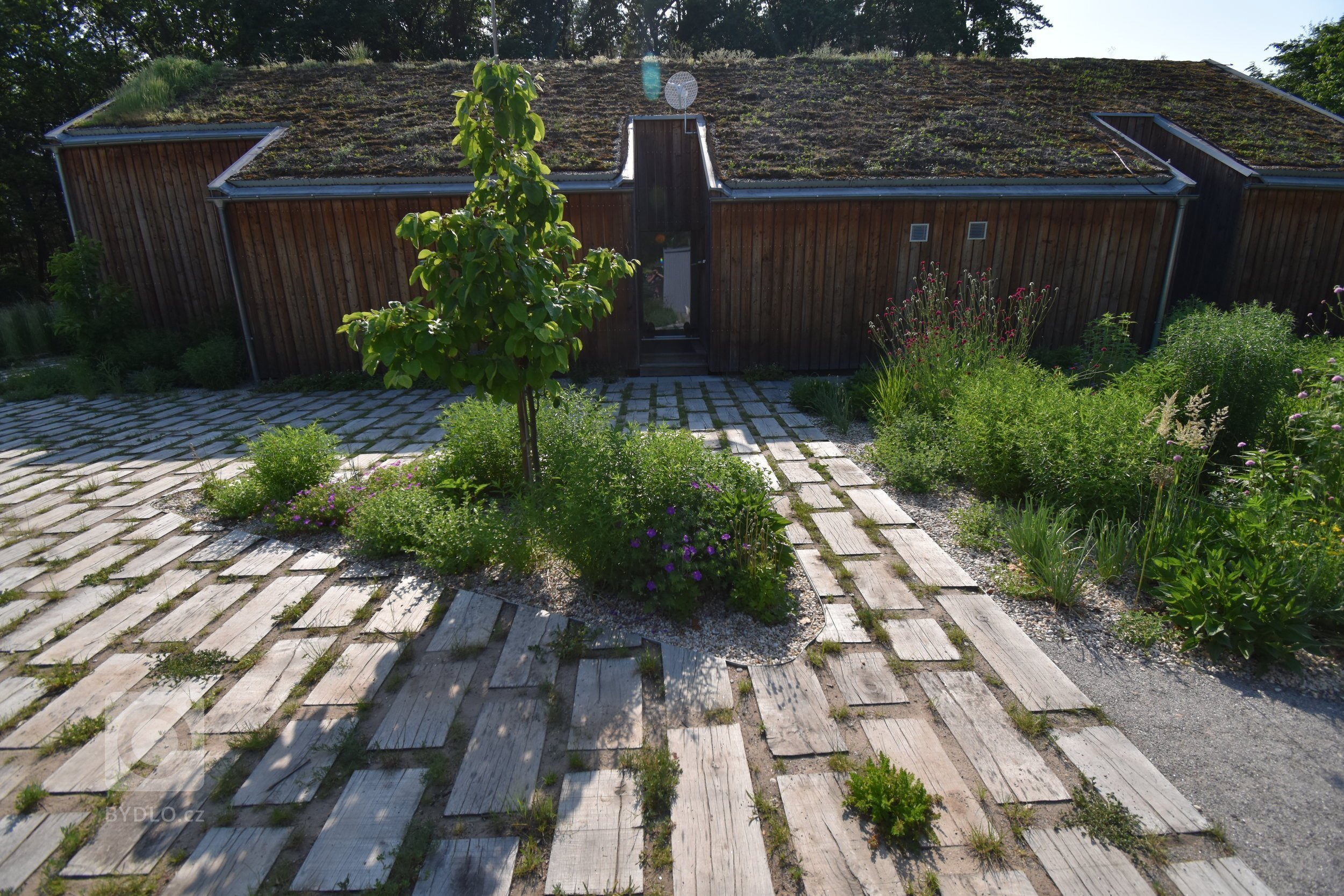 Pozveme vás do zahrady, která je nám velmi blízká. Nachází se na okraji dubového lesa a její atmosféra připomíná severskou náladu a dnes tolik skloňované…