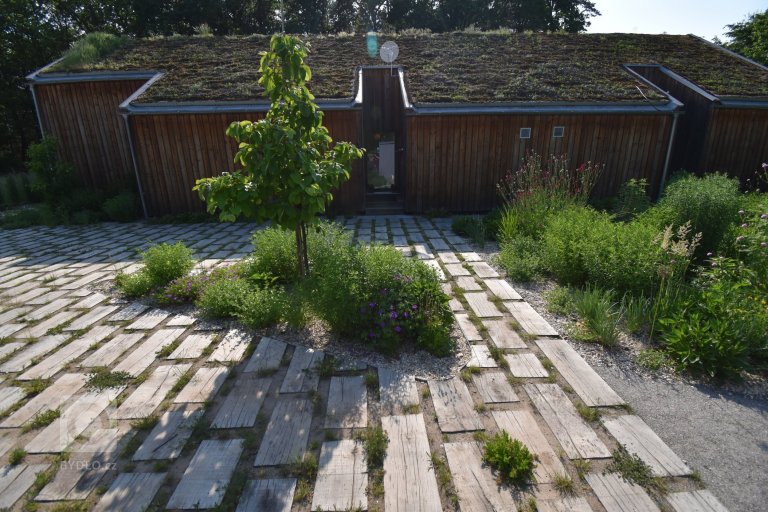 add picture to album