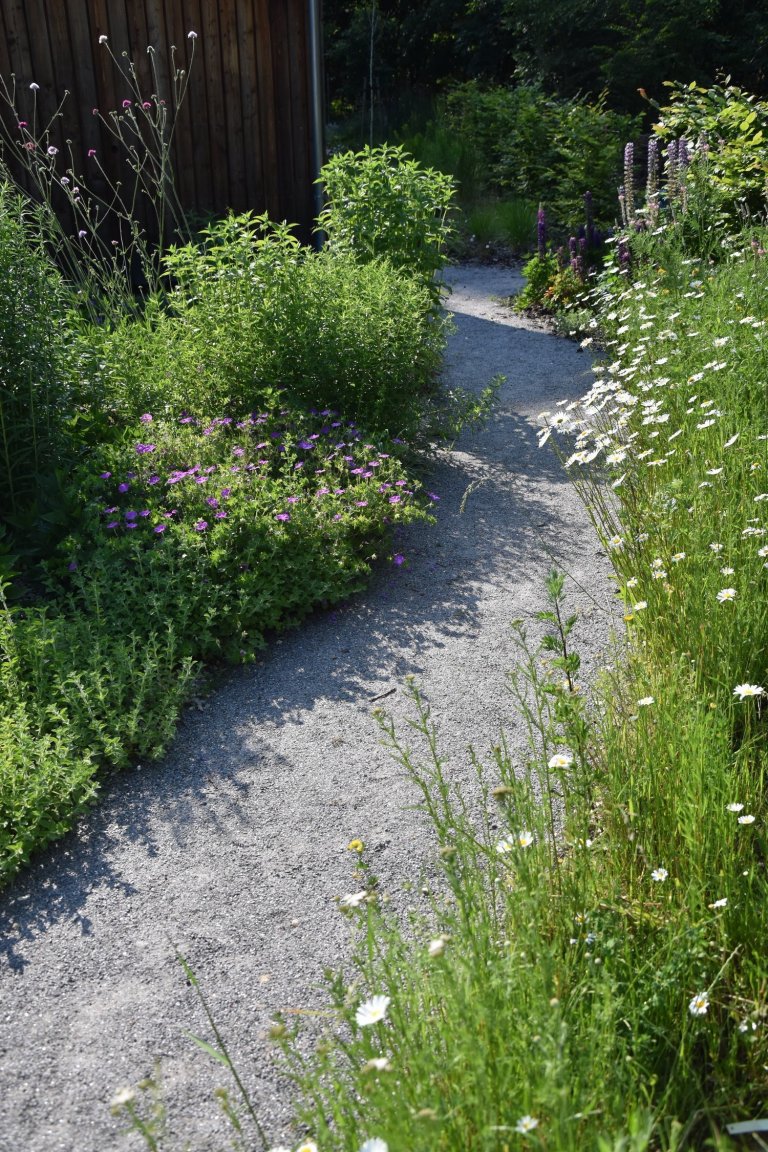 Pozveme vás do zahrady, která je nám velmi blízká. Nachází se na okraji dubového lesa a její atmosféra připomíná severskou náladu a dnes tolik skloňované…