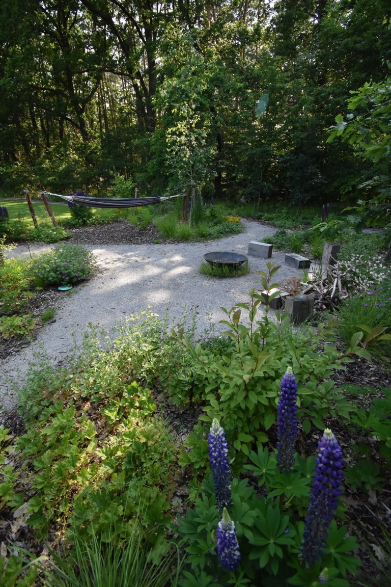 Pozveme vás do zahrady, která je nám velmi blízká. Nachází se na okraji dubového lesa a její atmosféra připomíná severskou náladu a dnes tolik skloňované…