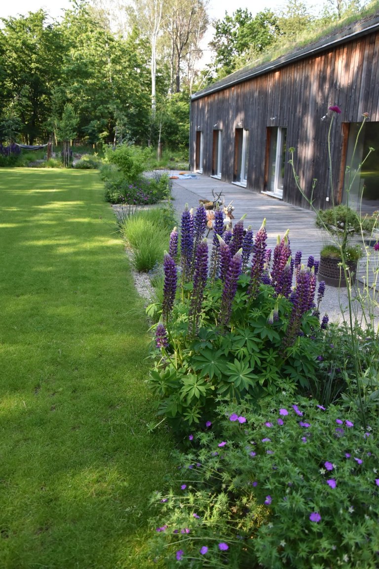 Pozveme vás do zahrady, která je nám velmi blízká. Nachází se na okraji dubového lesa a její atmosféra připomíná severskou náladu a dnes tolik skloňované…