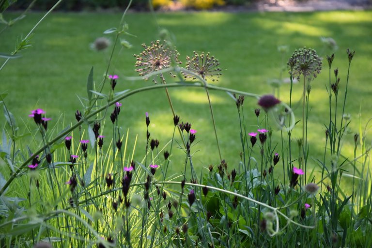 Pozveme vás do zahrady, která je nám velmi blízká. Nachází se na okraji dubového lesa a její atmosféra připomíná severskou náladu a dnes tolik skloňované…