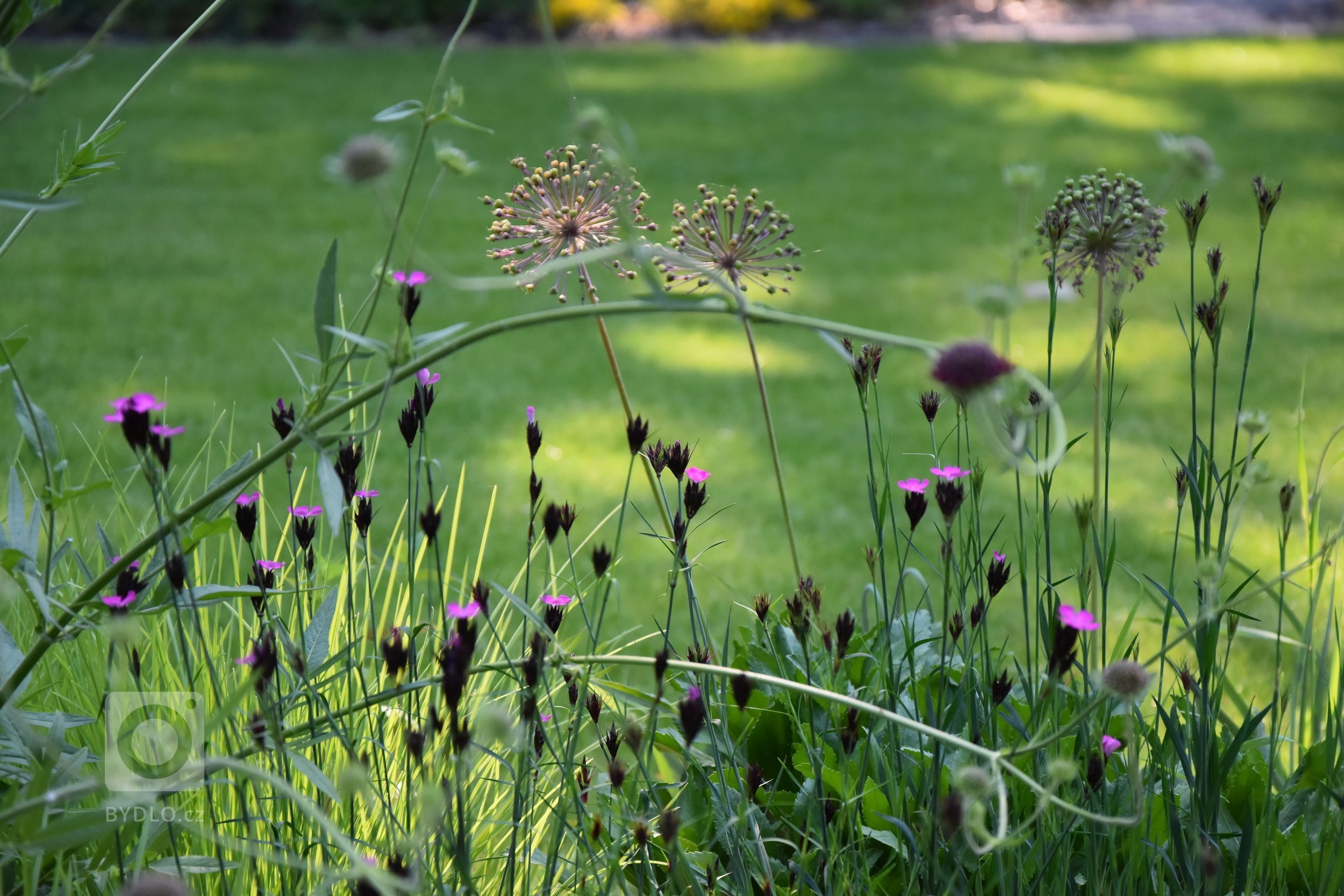 Pozveme vás do zahrady, která je nám velmi blízká. Nachází se na okraji dubového lesa a její atmosféra připomíná severskou náladu a dnes tolik skloňované…