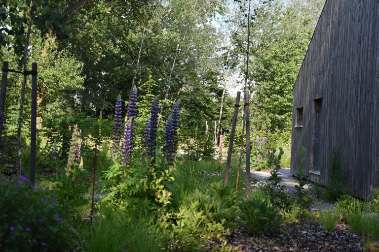 Pozveme vás do zahrady, která je nám velmi blízká. Nachází se na okraji dubového lesa a její atmosféra připomíná severskou náladu a dnes tolik skloňované…