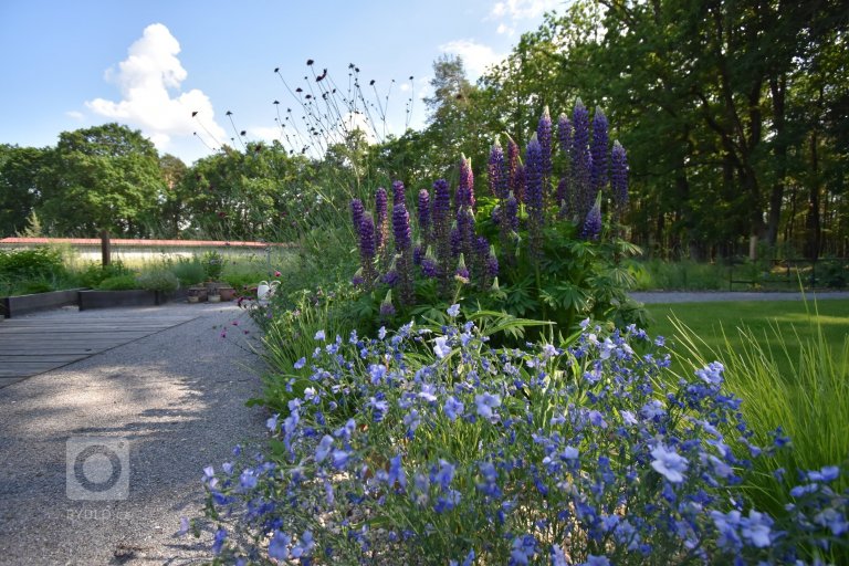 add picture to album