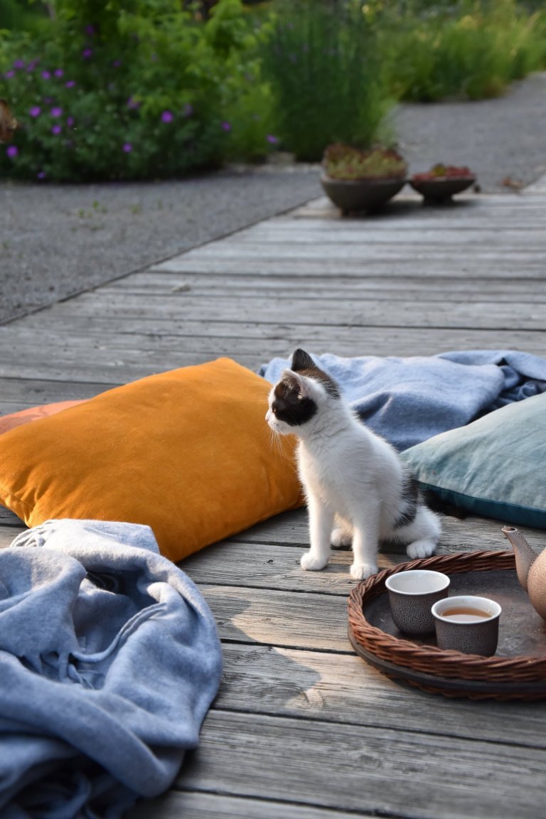 Pozveme vás do zahrady, která je nám velmi blízká. Nachází se na okraji dubového lesa a její atmosféra připomíná severskou náladu a dnes tolik skloňované…