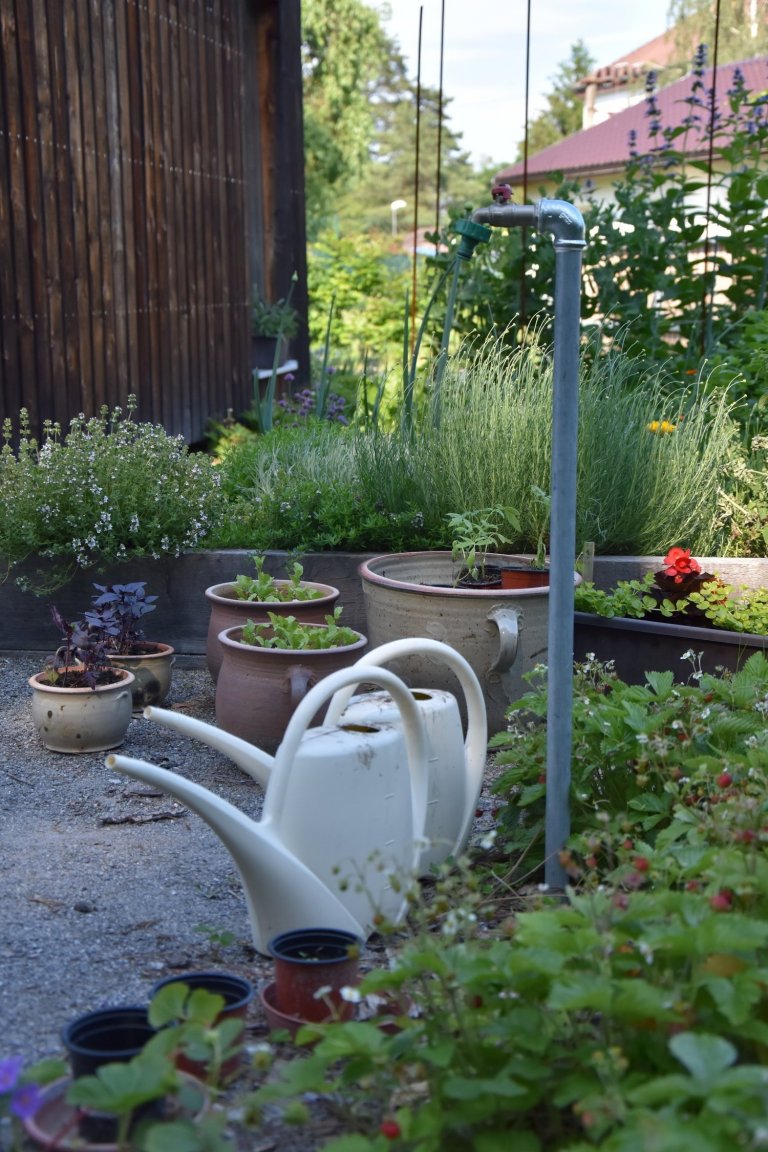 Pozveme vás do zahrady, která je nám velmi blízká. Nachází se na okraji dubového lesa a její atmosféra připomíná severskou náladu a dnes tolik skloňované…