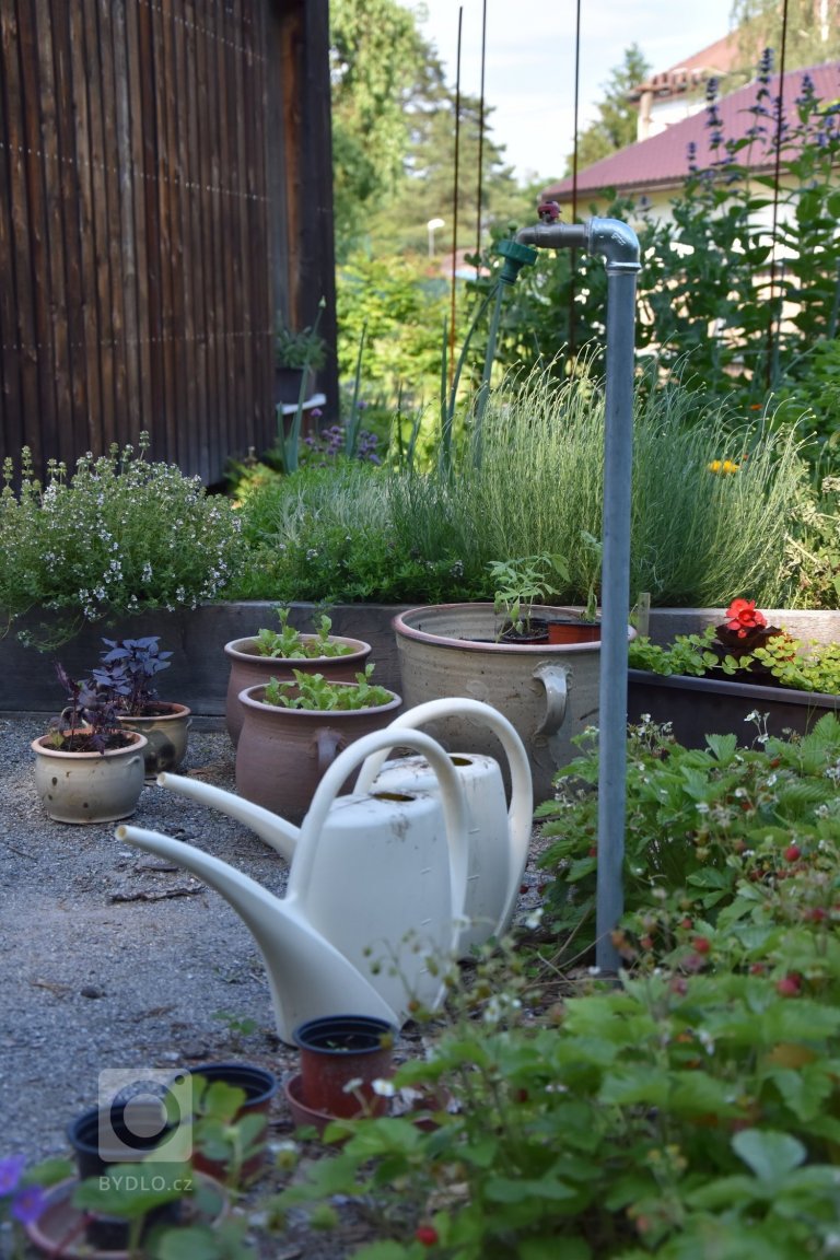 add picture to album