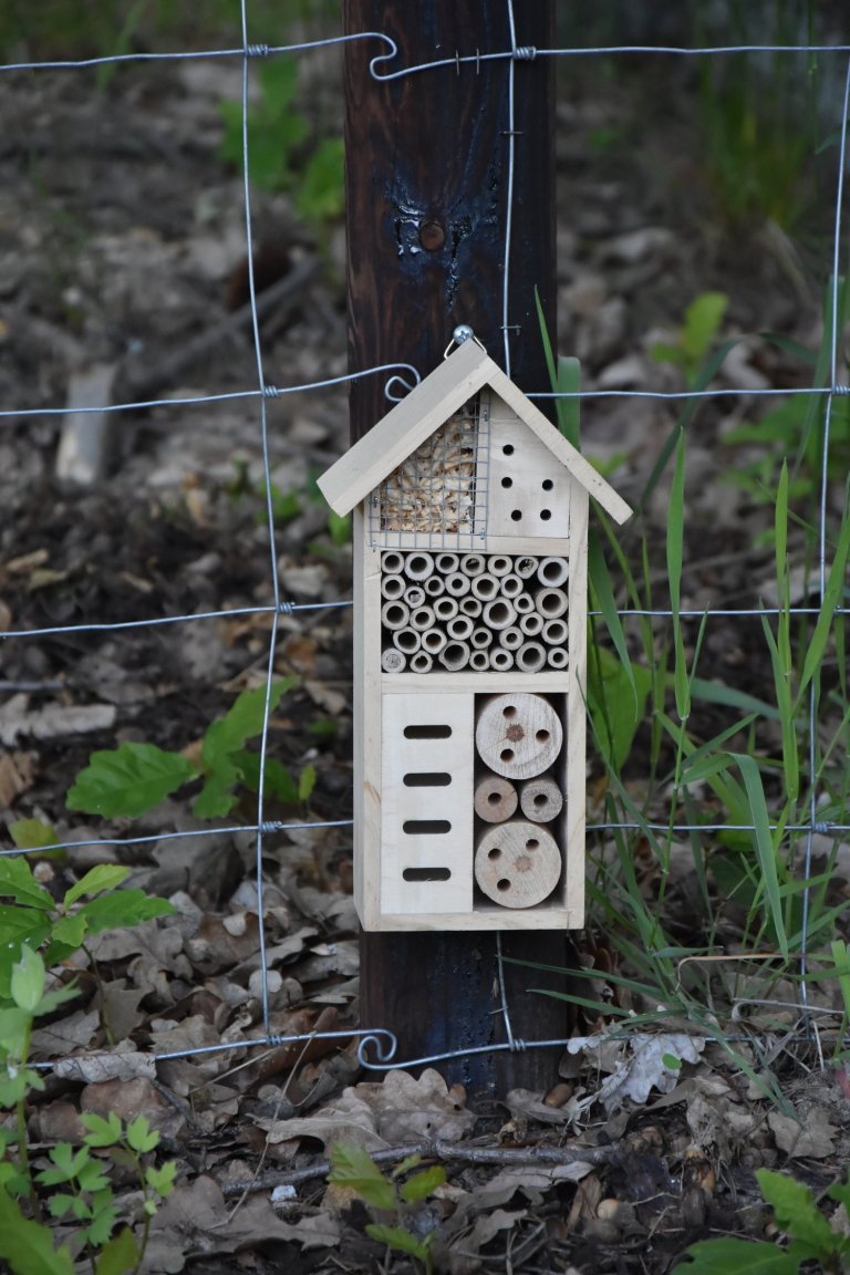 Pozveme vás do zahrady, která je nám velmi blízká. Nachází se na okraji dubového lesa a její atmosféra připomíná severskou náladu a dnes tolik skloňované…