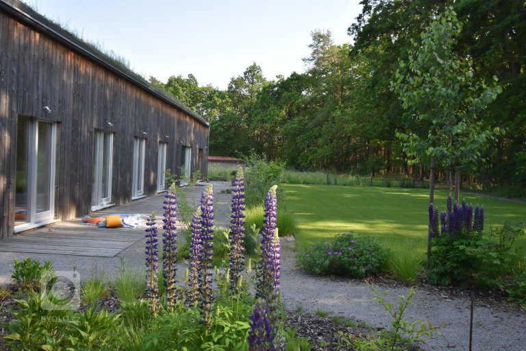 add picture to album