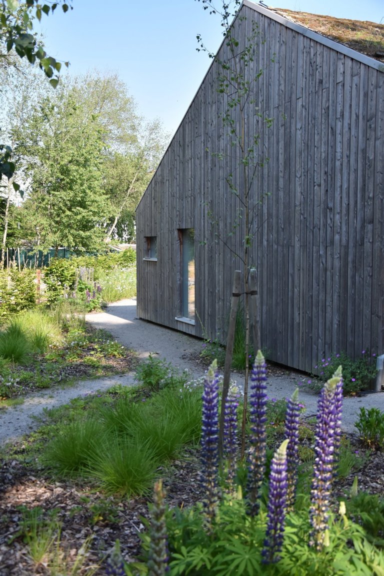Pozveme vás do zahrady, která je nám velmi blízká. Nachází se na okraji dubového lesa a její atmosféra připomíná severskou náladu a dnes tolik skloňované…