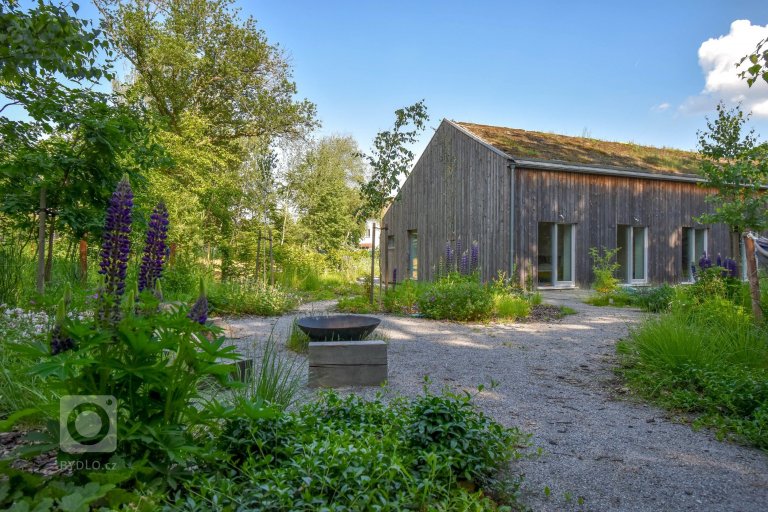 add picture to album