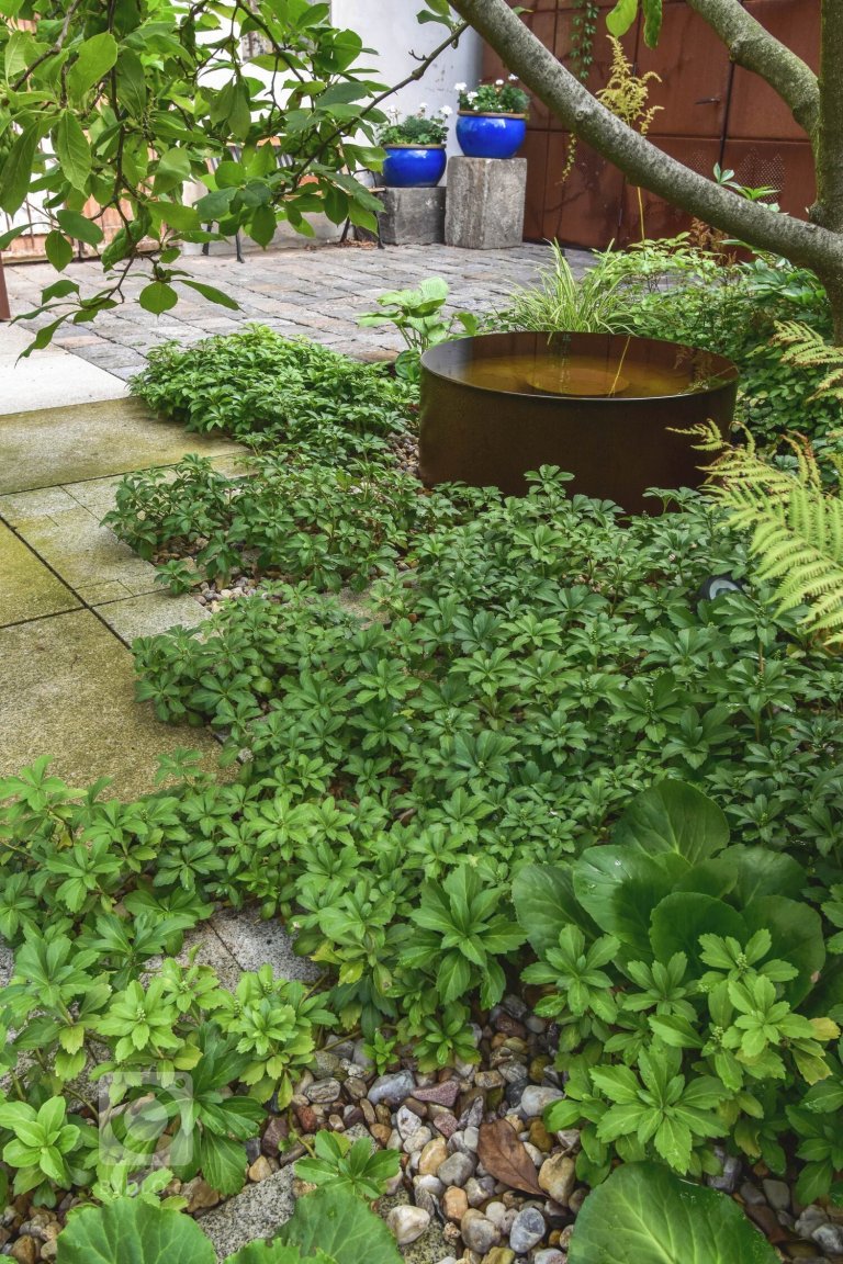 add picture to album