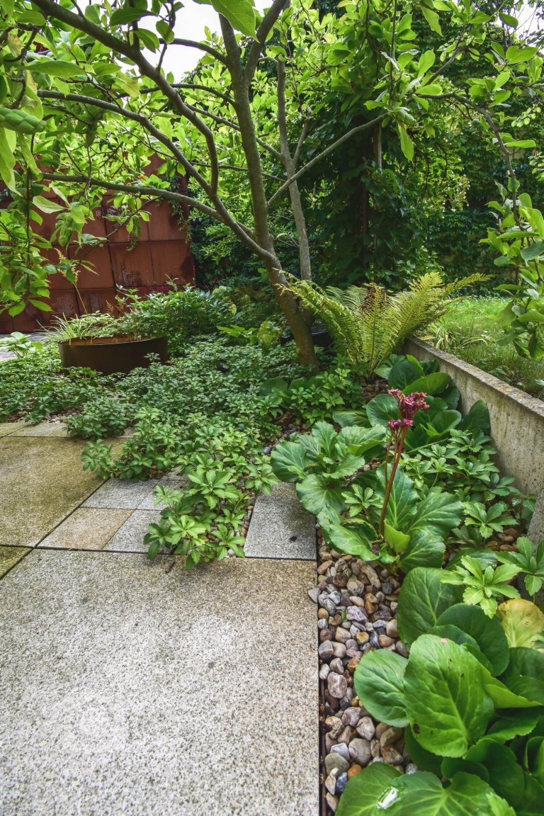 add picture to album