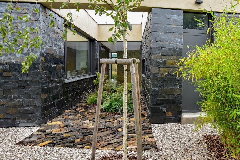 add picture to album