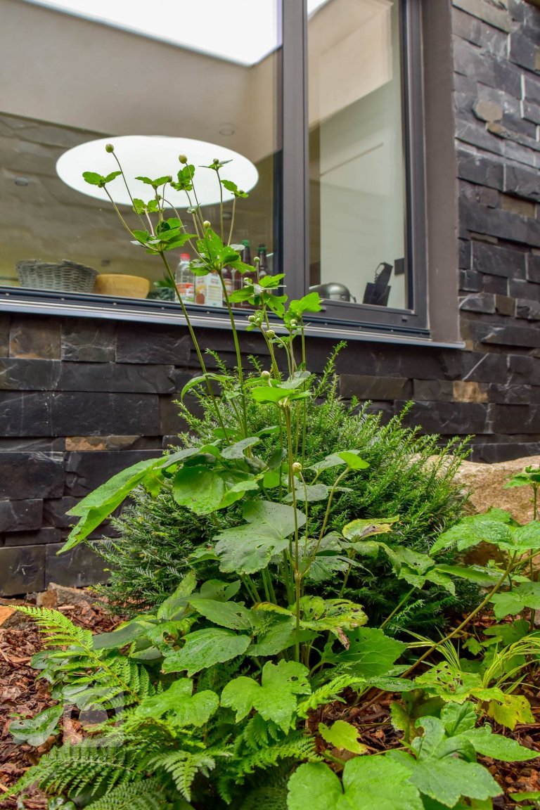 add picture to album