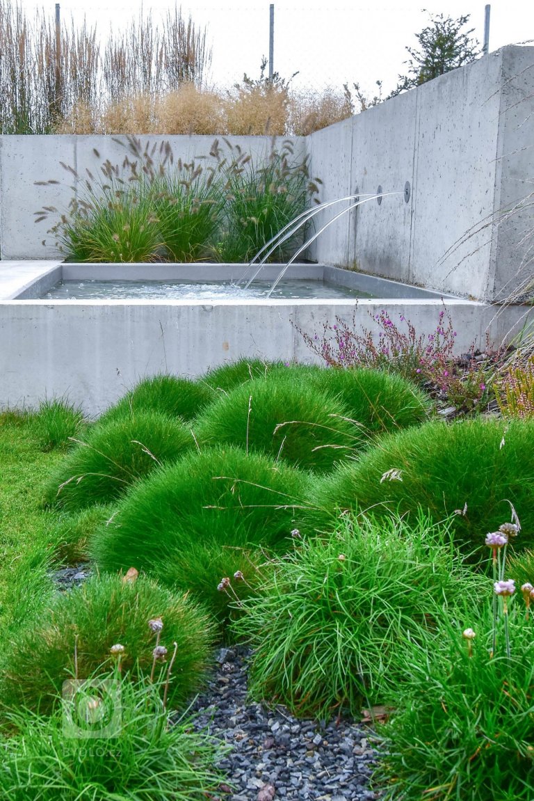 add picture to album