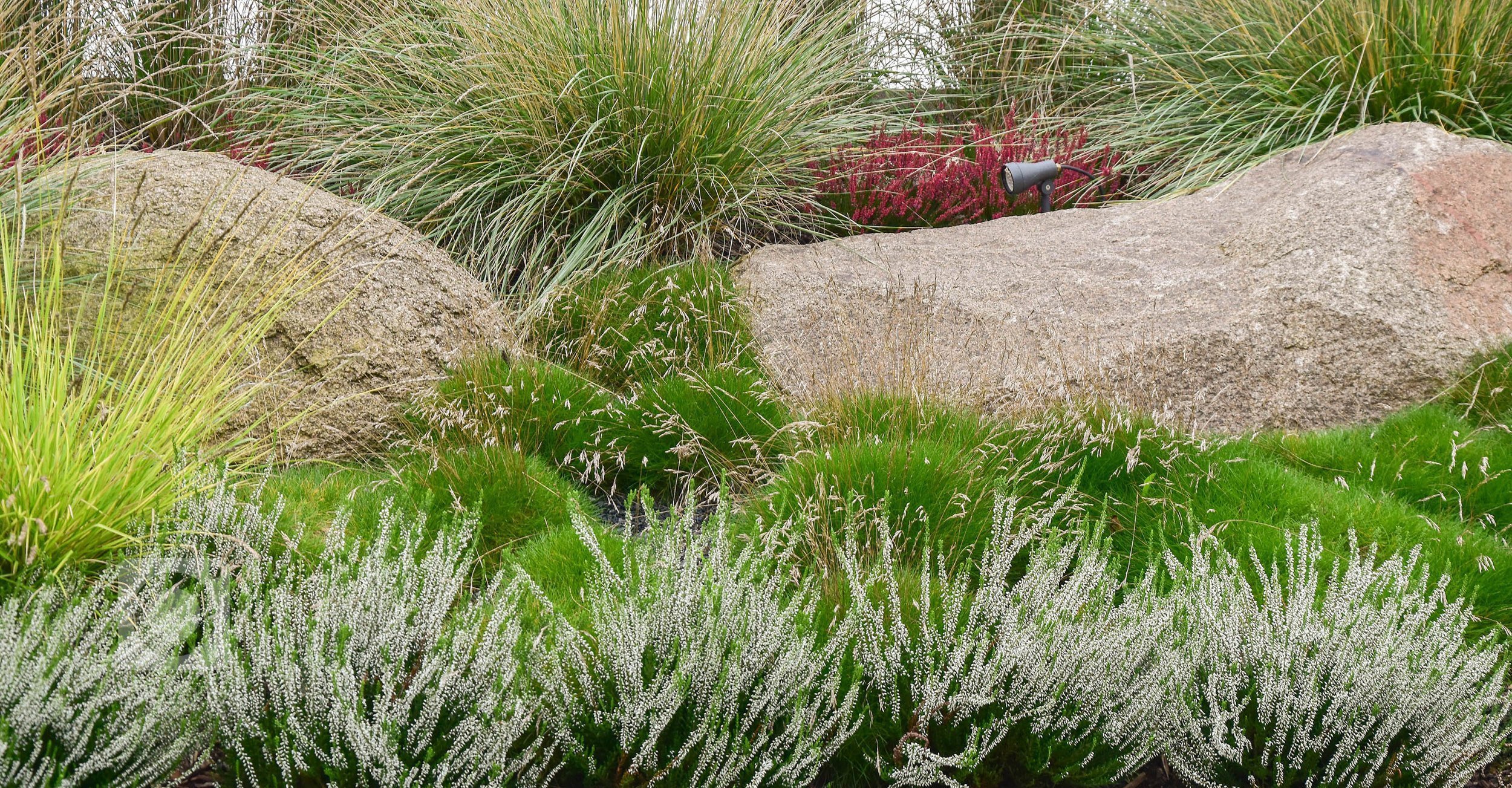 Zahradu, kterou představujeme tentokrát, jsme navrhli v těsné spolupráci s mladými architekty z atelieru Mio architects, kteří zajišťovali projekt domu.…