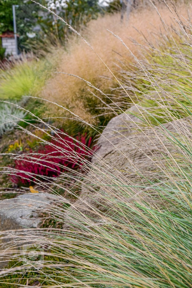 add picture to album