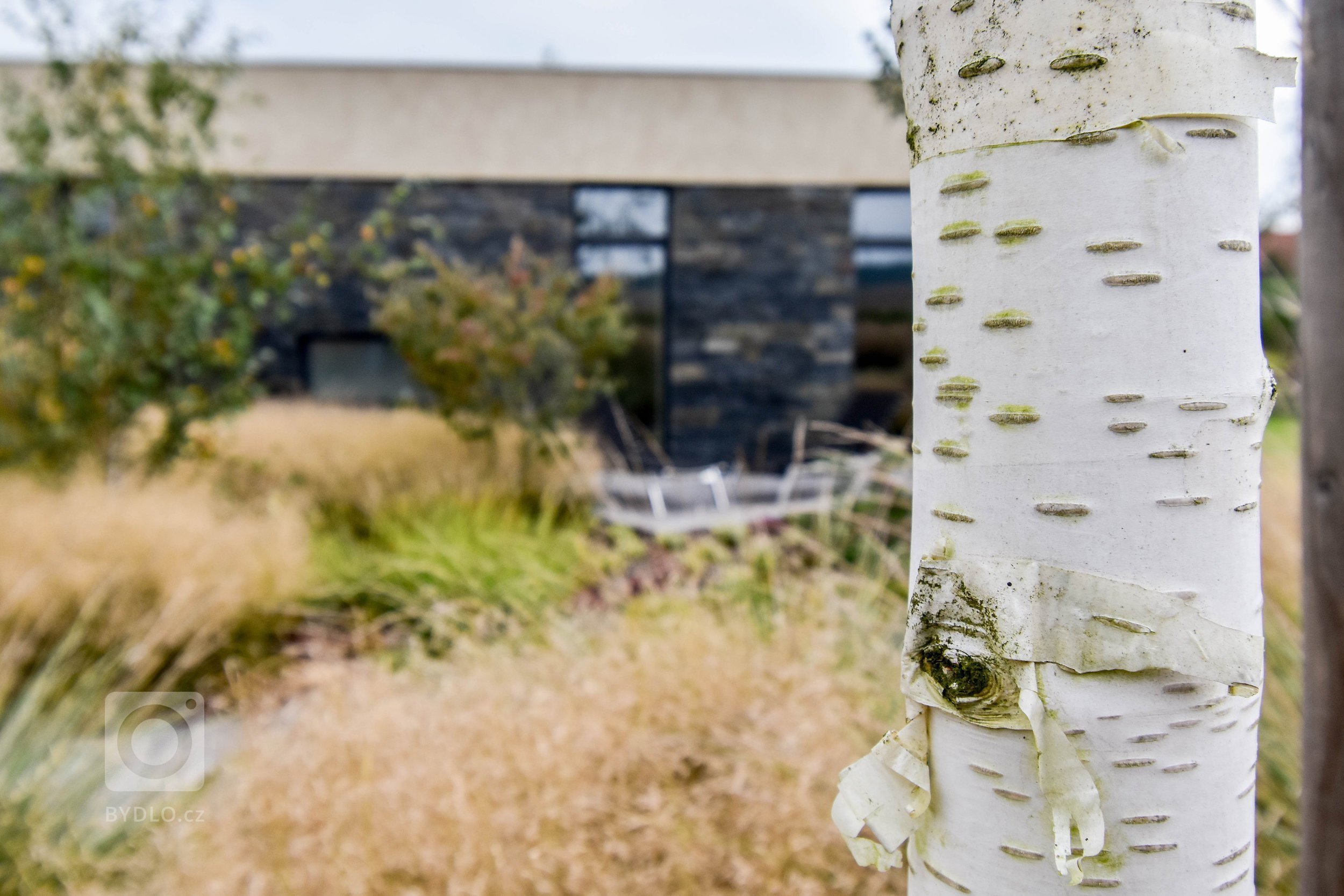 Zahradu, kterou představujeme tentokrát, jsme navrhli v těsné spolupráci s mladými architekty z atelieru Mio architects, kteří zajišťovali projekt domu.…