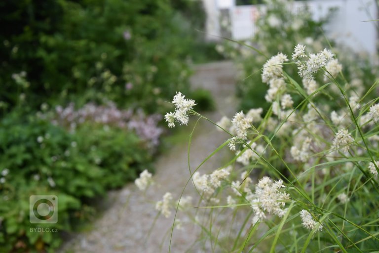 add picture to album