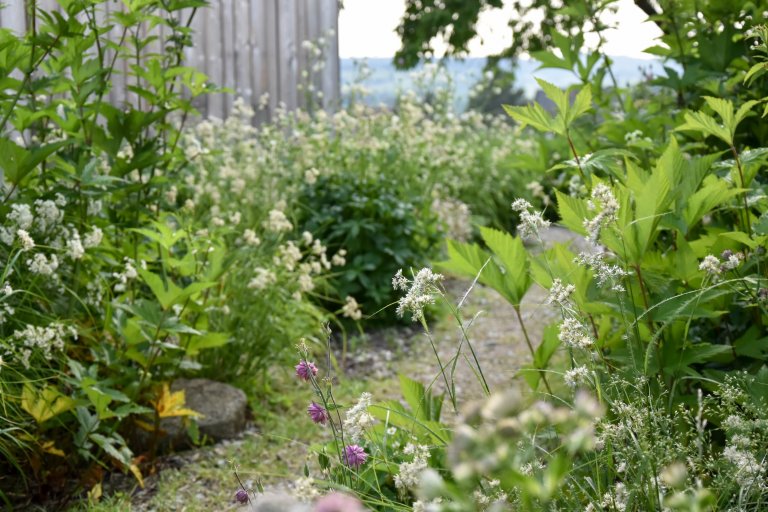 Další zahradou ze &bdquo;série&ldquo; přírodních zahrad je venkovská zahrada na Benešovsku.

Jak ji co nejlépe popsat?

Vzhled tohoto domu i zahrady pro…