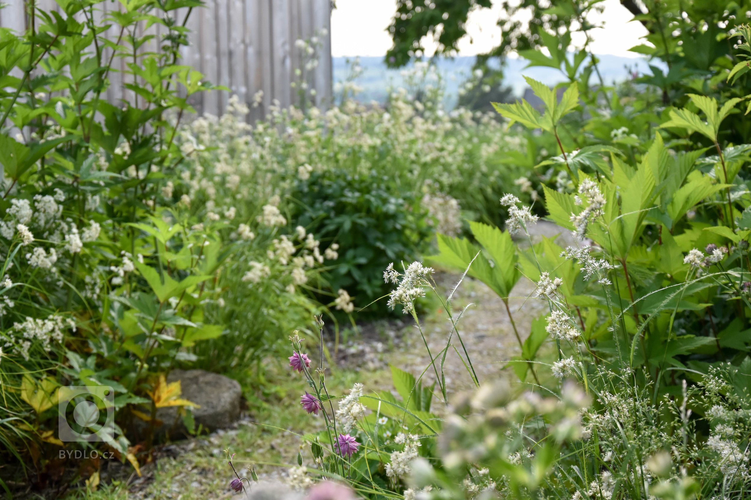 Další zahradou ze &bdquo;série&ldquo; přírodních zahrad je venkovská zahrada na Benešovsku.

Jak ji co nejlépe popsat?

Vzhled tohoto domu i zahrady pro…