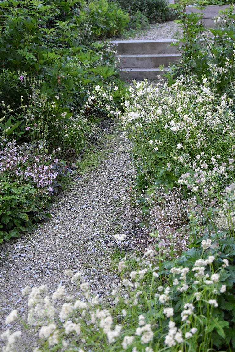 add picture to album