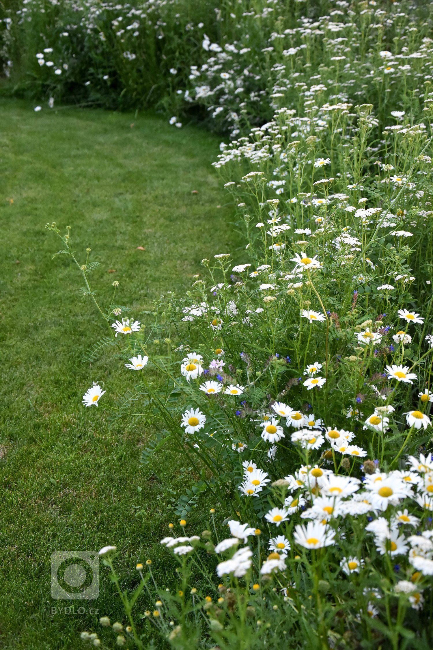 Další zahradou ze &bdquo;série&ldquo; přírodních zahrad je venkovská zahrada na Benešovsku.

Jak ji co nejlépe popsat?

Vzhled tohoto domu i zahrady pro…