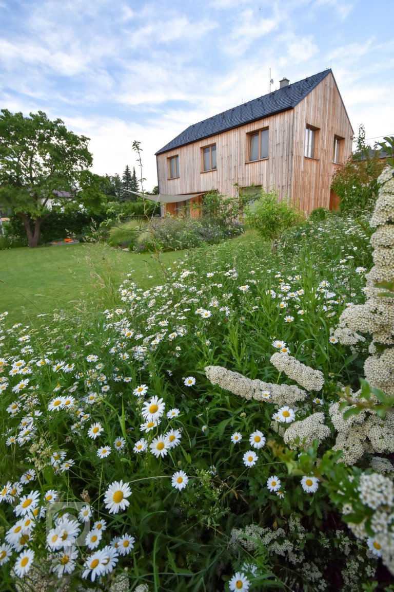 add picture to album